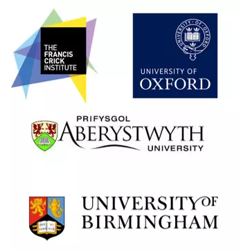 ENAIBLE Programme academic partners